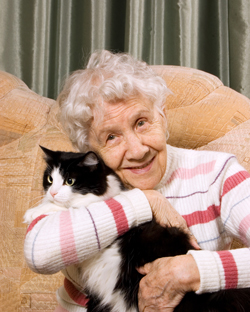 What happens to my pet when I move into aged care? Or hospital?